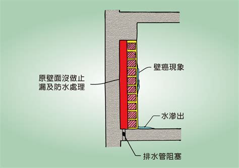 樑柱漏水|【漏水知識】外牆部位的常見漏水現象及其對策2/3. 花。